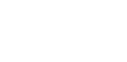 Vital Energy